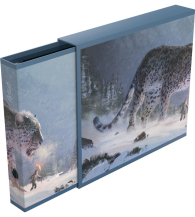 Accessori Cards - Raccoglitore grande ad anelli - album case artist edition: The hunters’ quest