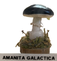 Actionfigure - Fungo - amanita galactica