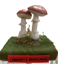 Actionfigure - Fungo - amanita muscaria