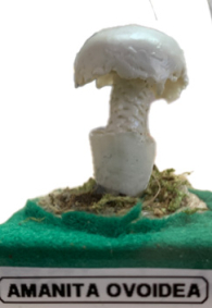 Actionfigure - Fungo - amanita ovoidea