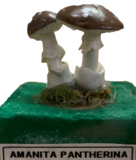 Actionfigure - Fungo - amanita pantherina
