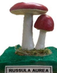 Actionfigure - Fungo - russula aurea