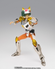 Actionfigure - Saint seiya: Steel saint landcloth daichi revival