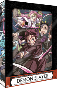 Dvd - Dvd demon slayer - tv animation series n.5: Il villaggio dei forgiatori