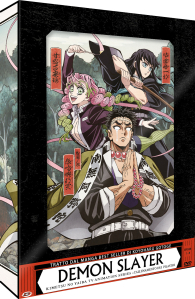 Dvd - Dvd demon slayer - tv animation series n.6: L'allenamento dei pilastri