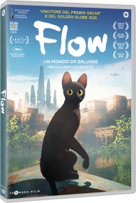 Dvd - Dvd flow