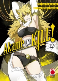 Fumetto - Akame ga kill! n.12