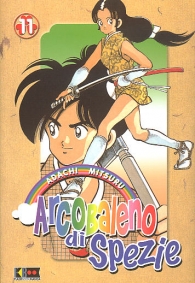 Fumetto - Arcobaleno di spezie n.11