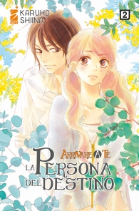 Fumetto - Arrivare a te - la persona del destino n.2