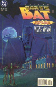 Fumetto - Batman shadow of the bat - usa n.45