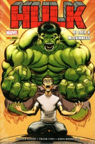 Fumetto - Marvel omnibus - hulk di loeb e mcguinnes