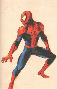 Fumetto - Spider-man n.876: Marvel vs. capcom variant
