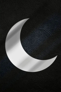 Fumetto - Moon knight - personalità multipla: Edizione definitiva