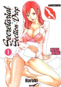 Fumetto - Secretarial section drop n.1