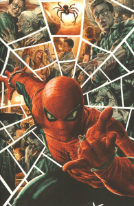 Fumetto - Spider-man n.883: Variant cover di lee bermejo