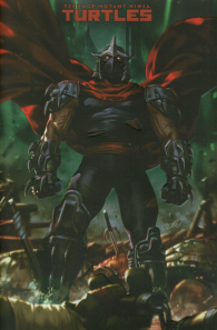 Fumetto - Teenage mutant ninja turtles - variant cover n.5
