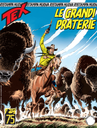 Fumetto - Tex - nuova ristampa n.491