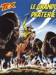 Fumetto - Tex n.491