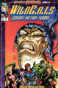 Fumetto - Wildcats - usa n.20