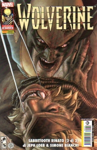 Fumetto - Wolverine n.281