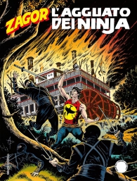 Fumetto - Zagor n.675