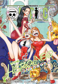 Romanzo - One piece - novel - heroines n.2