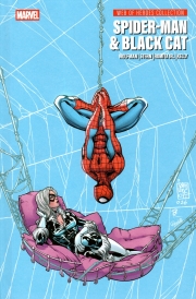 Web of heroes collection spider-man & black cat 